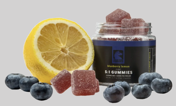 5 to 1 Blueberry Lemon Gummies